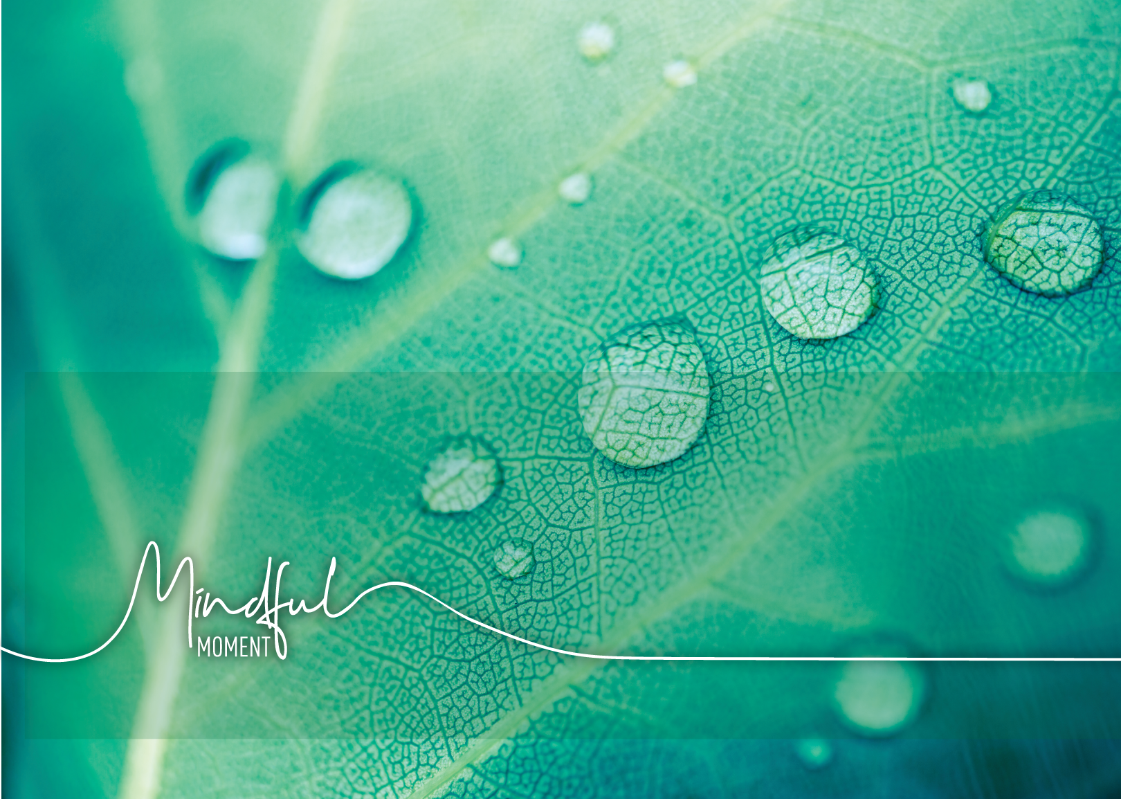 Close-up of a green leaf with water droplets, showcasing detailed vein patterns and the text 'Mindful Moment' in elegant white script.