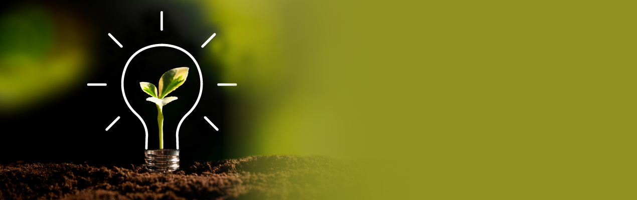 A creative illustration of a lightbulb with a small green plant growing inside, emerging from soil, symbolizing innovation and sustainability, with a green background.