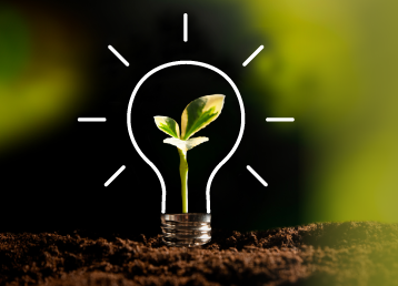 A glowing light bulb outline with a vibrant green plant sprouting inside, emerging from rich soil, symbolizing growth, sustainability, and innovation.