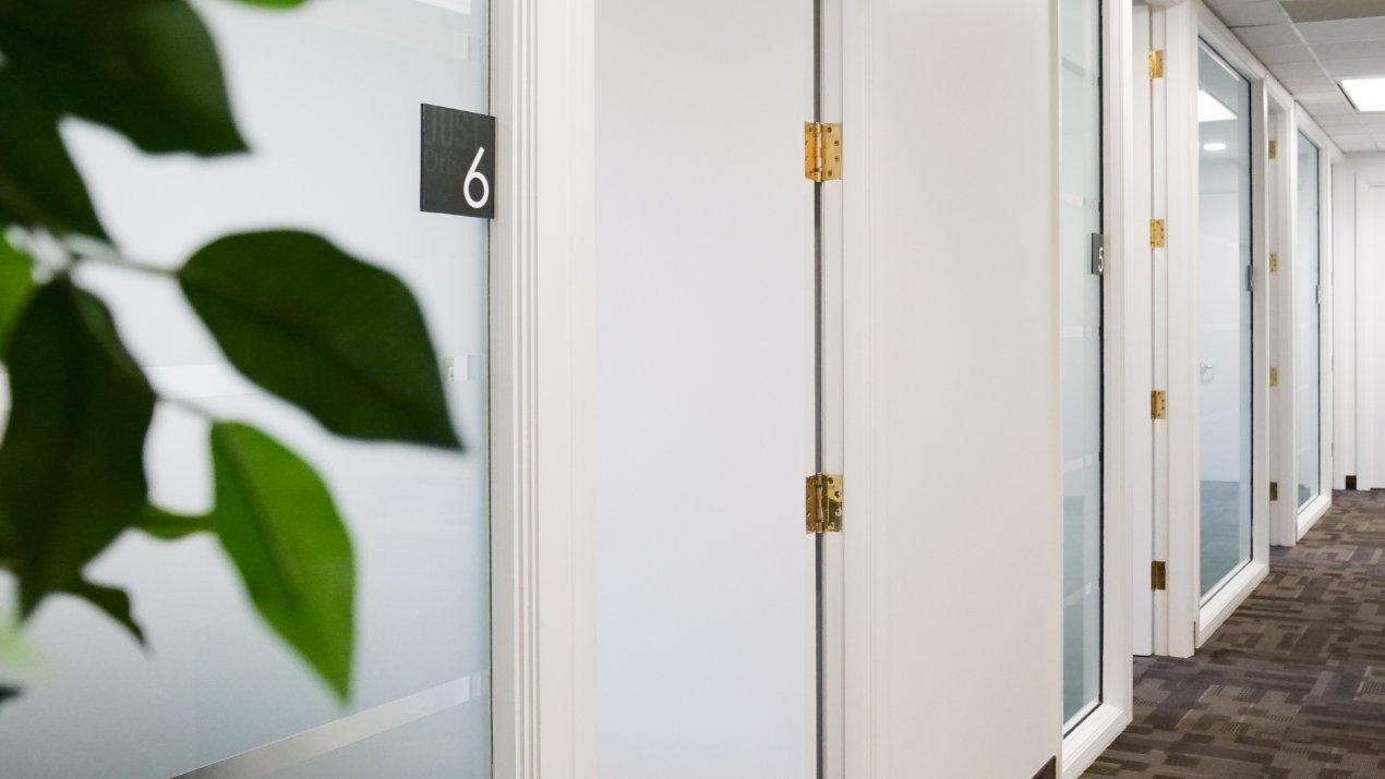 A clean and modern office hallway with white doors, glass partitions, and a carpeted floor, accented by a green plant in the foreground.