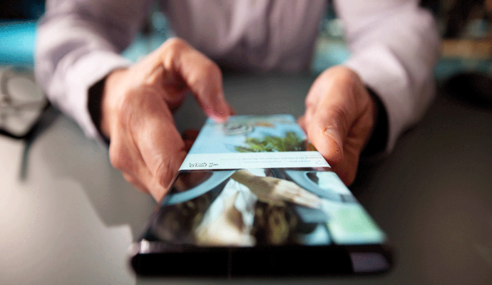 A person holding a foldable smartphone with a vibrant display showing an image of nature. The flexible screen is partially unfolded, demonstrating the device's bendable technology.